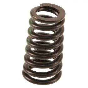 955-105-623-00 Genuine Valve Spring