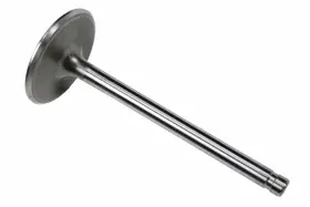 12556317 Genuine Gm Parts Engine Intake Valve