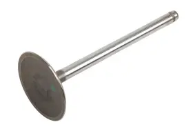 12564494 Genuine Gm Parts Engine Intake Valve