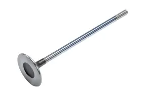 55557862 Genuine Gm Parts Engine Intake Valve