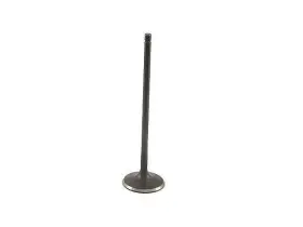 Gp29w4 Genuine Intake Valve For 06-07 Hyundai Kia Sonata Optima Rondo 2.4l 4 Cyl