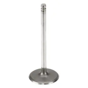 W0133-1763273-oes Genuine For Chevy Silverado 1500 Classic 2007 Intake Valve