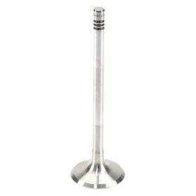 Genuine W0133-1866569-oes For Chevy Cobalt 2005-2007 Exhaust Valve