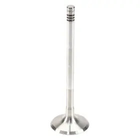 W0133-1866569-oes Genuine For Chevy Cobalt 2005-2007 Exhaust Valve