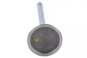 12568411 Gm Genuine Engine Intake Valve