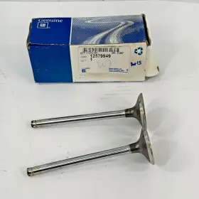 12579949 Gm New 2005 2006 2007 2008 2009 Buick Lacrosse Engine Exhaust Valve Oem