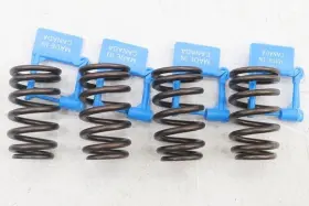 12616671 Gm New Oem Engine Valve Springs Set Of 4 Buick Chevy Gmc Cadillac 04-23