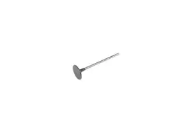 12645279 Gm Genuine Engine Intake Valve