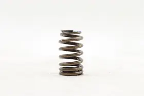 12691120 Gm New Oem Engine Valve Spring Chevrolet Gmc Cadillac 2014-2024