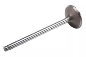 12733470 Gm Genuine Exhaust Valve