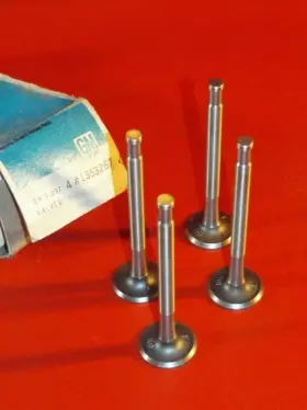 1353267 Gm Nos Rare 1962 1963 Buick Special / V6 Engine Exhaust Valves .004 O/s