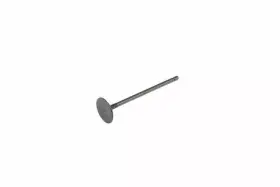 19185598 Gm Genuine Engine Intake Valve