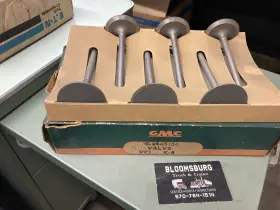 2445156 Gm Nos Engine Intake Valves Part#
