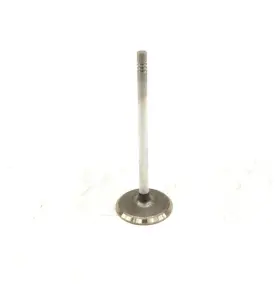 24576974 Gm New Oem Engine Intake Valve Chevrolet Gmc 2.8l 3.5l 4.2l 2002-2006