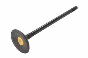 55489458 Gm Genuine Intake Valve