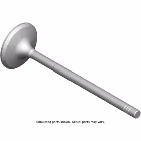 55599817 Gm Genuine Engine Intake Valve