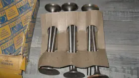 839504 Gm Nos Chevrolet Intake Valves
