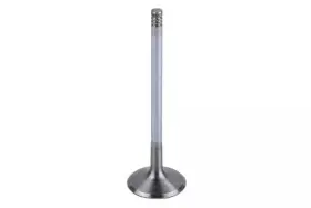 90412277 Gm Genuine Engine Intake Valve