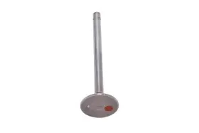 12552289 Gm Genuine Parts Engine Exhaust Valve