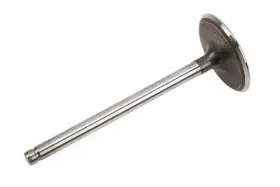 12577696 Gm Genuine Parts Engine Intake Valve