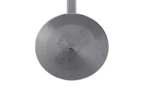 12605524 Gm Genuine Parts Ls9 Intake Valve