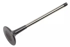 55568127 Gm Genuine Parts Engine Exhaust Valve