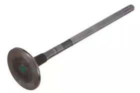 55569934 Gm Genuine Parts Engine Intake Valve