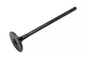 55572667 Gm Genuine Parts Engine Intake Valve