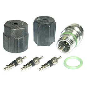 1311422 Gpd A/c Ac Caps And Valve Core Seal Kit For Pontiac Grand Prix Vue Vibe