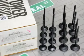 B18c5 Gsc Power Division 2034-8/2033-8 Black Nitrided Ss 1mm Intake And Exhaust Valves Set B16a2 B17a B18c1