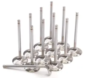 2144-12 Gsc Power Division Replacement Intake Valve Sets 1mm