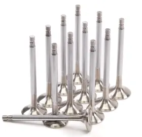 2149-12 Gsc Power Division Replacement Exhaust Valve Sets 1mm