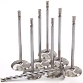 2152-8 Gsc Power Division Replacement Intake Valve Sets -std