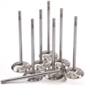 2154-8 Gsc Power Division For P-d Ford Mustang 5.0l Coyote Gen 1/2 38.27mm Head 1mm Chrome Polished