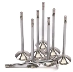 2155-8 Gsc Power Division Replacement Exhaust Valve Sets -std