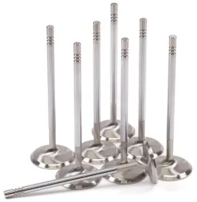 2162-8 Gsc Power Division Replacement Intake Valve Sets -std