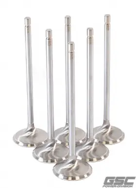 2192-6 Gsc Power Division Replacement Intake Valve Sets -std