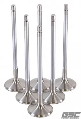 2195-6 Gsc Power Division Exhaust Valves -std