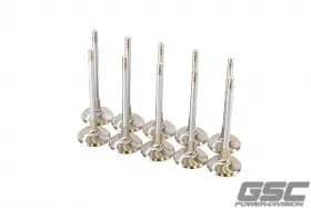 2256-10 Gsc Power Division P-d Compatible With/replacement For Audi Daza 33.9mm Head Std 104mm Long