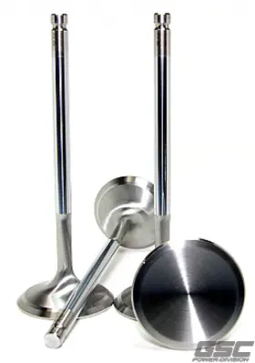 2261-8 Gsc Power Division Replacement Exhaust Valve Sets -std