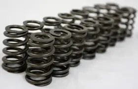 5039 Gsc Power Division Power-division Single Beehive Valve Springs All 4g63
