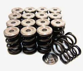 5049 Gsc Power Division Dual Spring Set And Titanium Retainer For Honda B-series Vtec