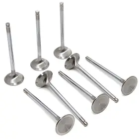 Gsc2004-8 Gsc Power Division For 4g63t Evo 1-9 / 90-98 Dsm Chrome Polished Intake Valve - 35mm Head