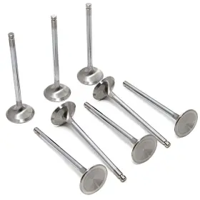 Gsc2005-8 Gsc Power Division For 4g63t Evo1-9/dsm 90-98 Chrome Polished Super Alloy Exhaust Valve