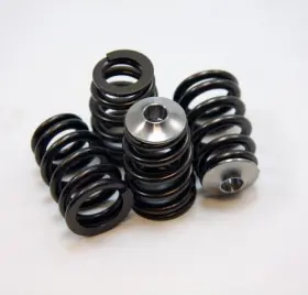 Gsc5047 Gsc Power Division For K-series Vtec K20/k24 Beehive Valve Spring And Titanium Retainer Kit