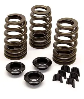 07-s-001 Hamilton Cams Beehive Springs Retainers And Locks For 89-98 Dodge 12v