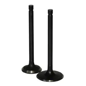 20211n Howards Cams Extreme Black Severe Application Intake Valve