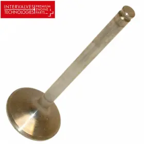 1020532101 Intervalves 1987-92 Mercedes 190e 2.6 260e 300e Cylinder Head Intake Valve
