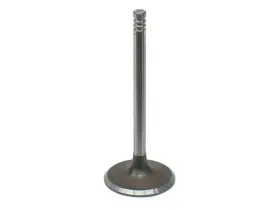 37889xkdv Intervalves For 1982-1987 Bmw 528e Intake Valve 1985 1983 1984 1986