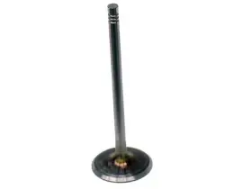 94617rsyw Intervalves For 1994-1995 1997-2003 Bmw 540i Intake Valve 1999 1998 2000 2001